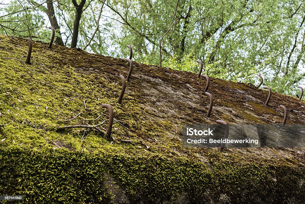 Old World War II bunker roof detail Old World War II bunker south east of the city of Utrecht in the center of the netherlands, next to the 18th century water defenses (waterlinie). Adventure Stock Photo