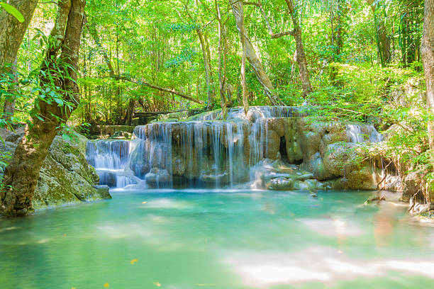 water fall Fairy Forest stock photo