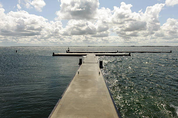 view at a lake on a sunny day