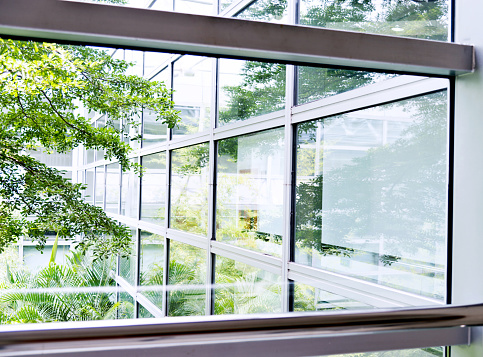 Modern office windows with garden view.