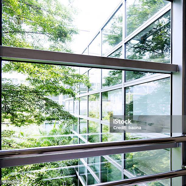 Office Windows With Garden View Stock Photo - Download Image Now - Office, Nature, Environmental Conservation