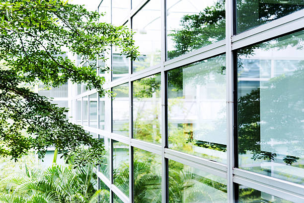 ufficio moderno con albero - building exterior glass window built structure foto e immagini stock