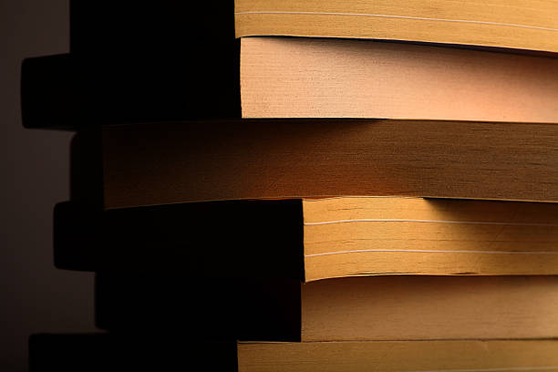 istock Pile of books 487442713