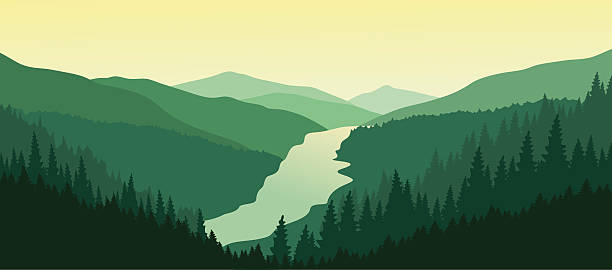 Beautiful mountain landscape with the river in the valley. Mountain landscape with green pine forest in the summer. Sunset in the mountains. Vector illustration. EPS 10.  river illustrations stock illustrations
