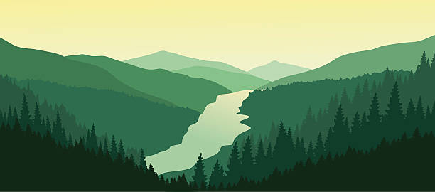 Beautiful mountain landscape with the river in the valley. Mountain landscape with green pine forest in the summer. Sunset in the mountains. Vector illustration. EPS 10.  river background stock illustrations