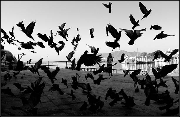 istock Flights of fancy 487443093