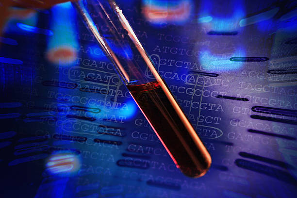istock Blood in test tube. 487443437