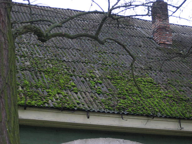 istock Old roof covered with moss 487444212