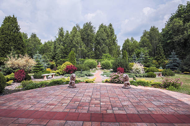 Picture of beauty plants in the backyard
