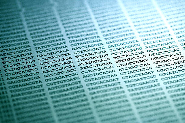 DNA encoding. stock photo