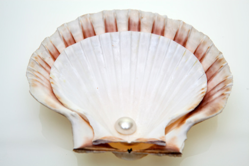 Pearl on the shell