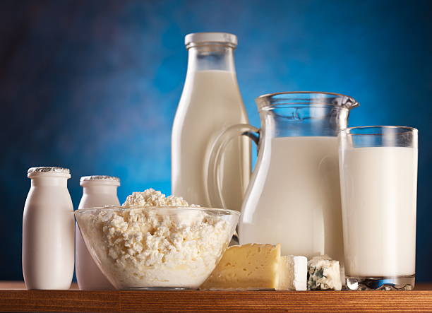 istock Different milk products: cheese; cream; milk. 487446693