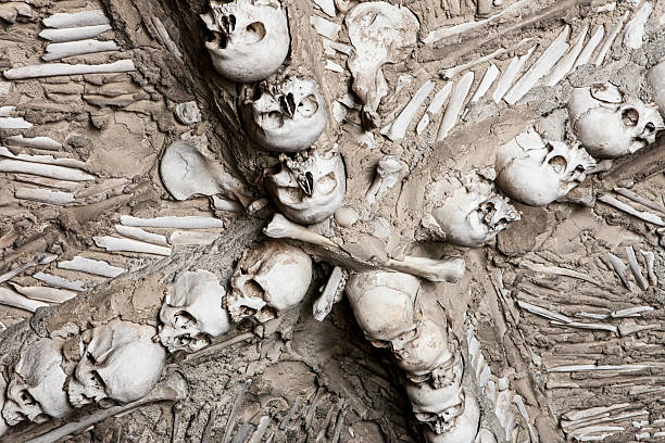 istock Vault of bones, Campo Maior 487449560