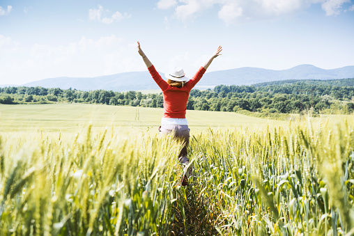 Woman in the green wheat field, hands in air, jumping.