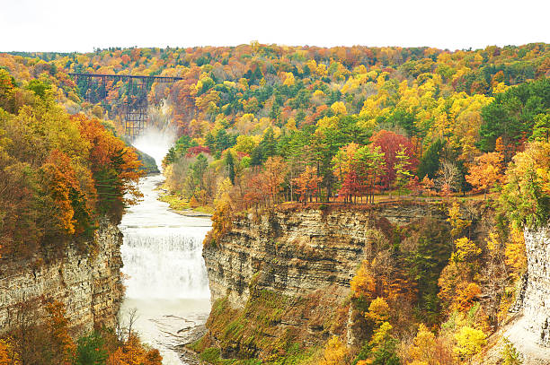 istock Autumn scene of waterfalls and gorge 487450564