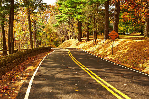 istock Autumn scene with road in forest 487450576