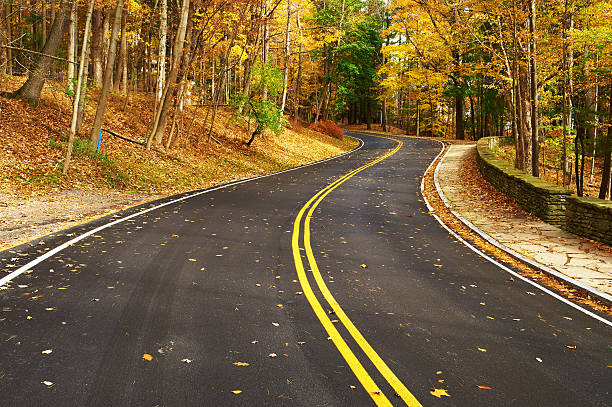 istock Autumn scene with road in forest 487450578