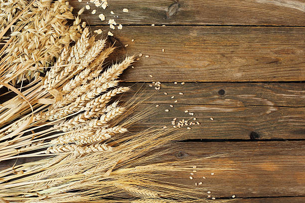 istock Three kinds of cereals - rye, wheat, oats 487452260