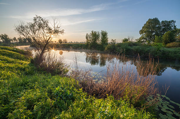 istock summer sunrise over the river with a fog 487456446