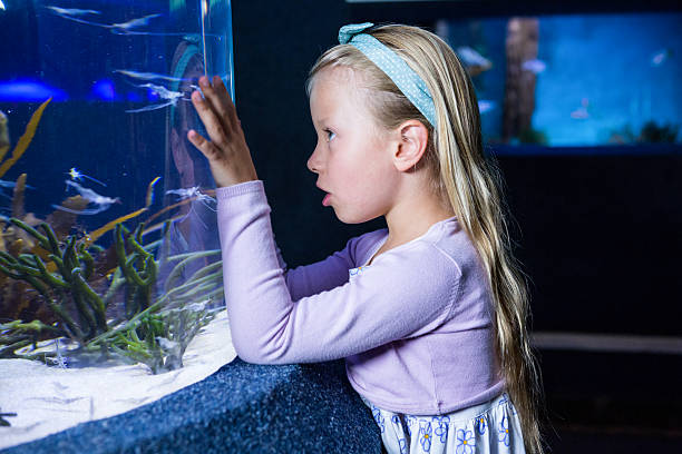 istock Young woman looking at fish in tank 487456714
