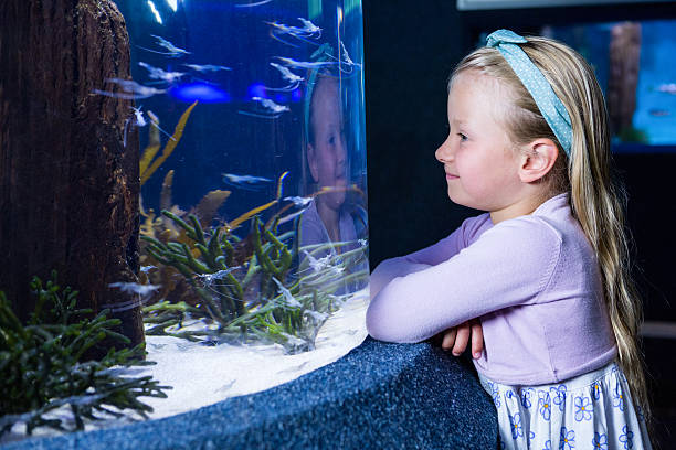 istock Happy young woman looking at fish 487456794