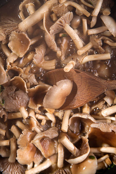 istock Cooking mushroom pioppino 487457572