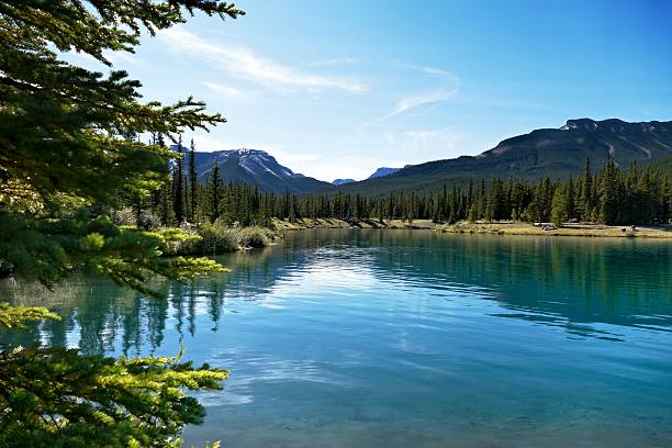 istock Forget-Me-Not Pond near Bragg Creek,Alberta,Canada 487458518