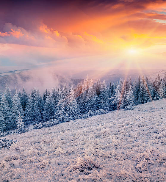 istock Colorful winter sunrise in the mountain forest 487459930
