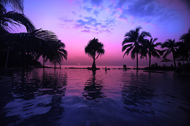 pôr do sol mar praia palms pool - tourist resort hotel swimming pool night - fotografias e filmes do acervo