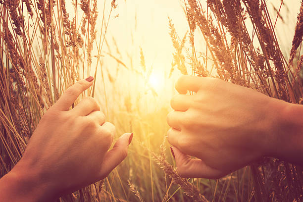 mulher relaxante em um campo de trigo -. - hands open imagens e fotografias de stock