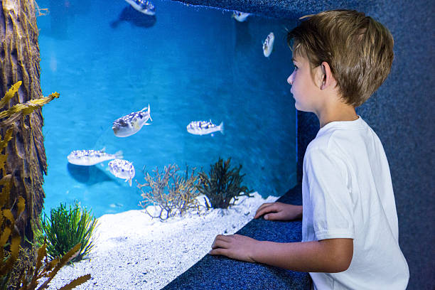 istock Young man looking at fish in tank 487463186
