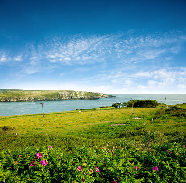 Irish coastline on beautifull spring day. Note to inspector: stiched photo.