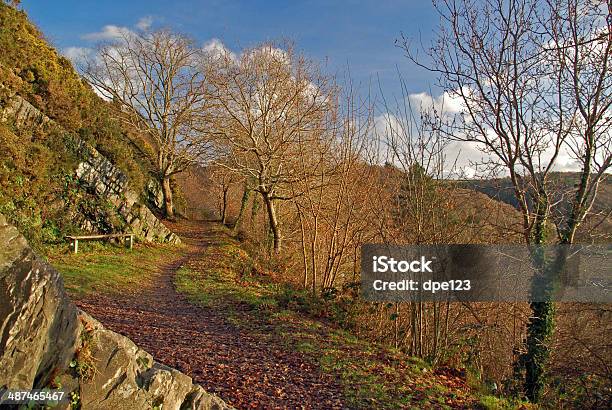 Foto de Caminho De País Outono e mais fotos de stock de Cena Rural - Cena Rural, Devon, Estrada em Terra Batida