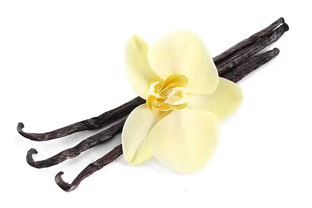 Vanilla sticks with a flower on a white background.