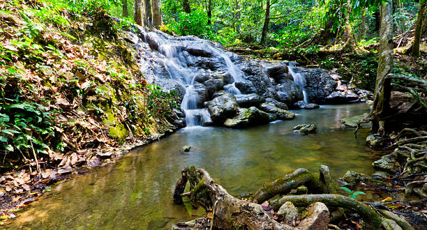 istock Sra Nang Manora Phangkha Nation forest waterfall park 487467489