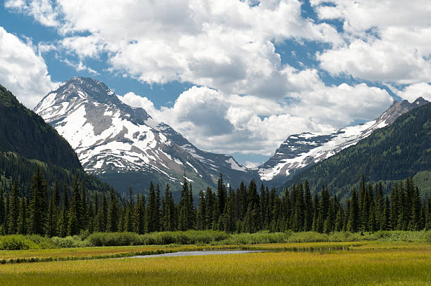A wide field surrounded by trees, mountains, sky and clouds in Montana's Glacier National Park.