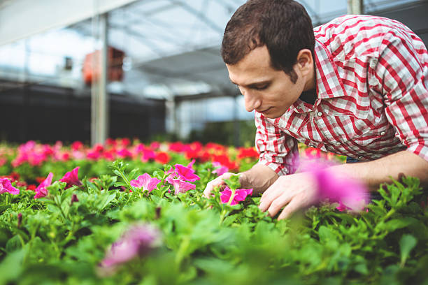 istock Florists owner arranging the flowers 487469263