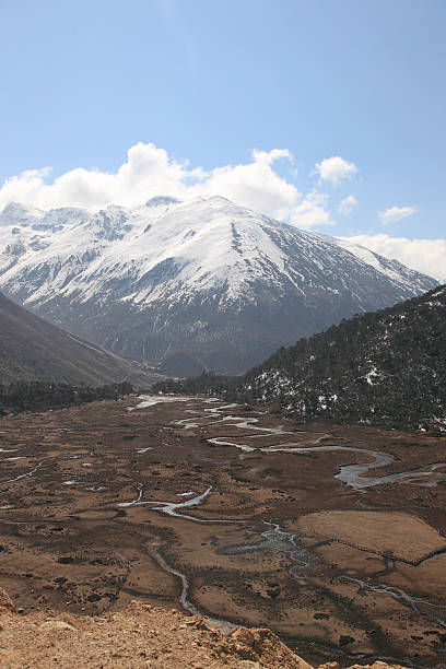 istock Chopta Valley in north Sikkim India 487469371