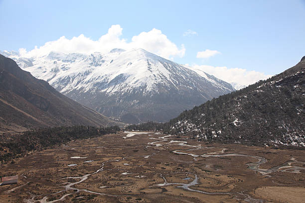 istock Chopta Valley in north Sikkim India 487469375