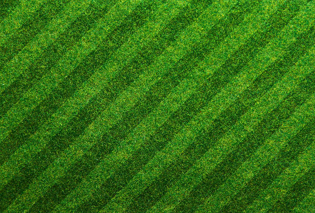 istock Green grass soccer field background 487469783
