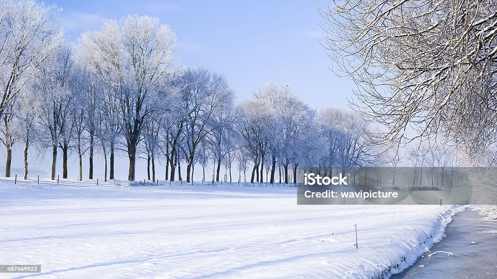 Winter Scene on a dutch dike, Winter Scene on a dike in the Netherlands Agricultural Field Stock Photo