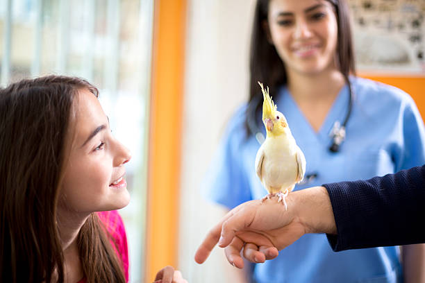 istock Owner with her pet in vet ambulant 487474056