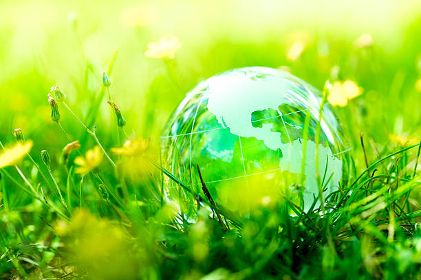istock Green & Eco environment, glass globe in the garden 487474492