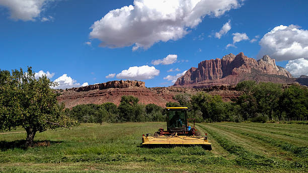 istock Puffy cumulus clouds summer cutting hay apple tree Rockville Utah 487474724