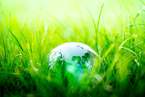 istock Green & Eco environment, glass globe in the garden 487474802