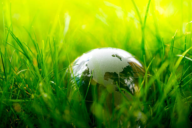 istock Green & Eco environment, glass globe in the garden 487474820