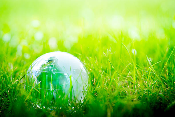 istock Green & Eco environment, glass globe in the garden 487474830