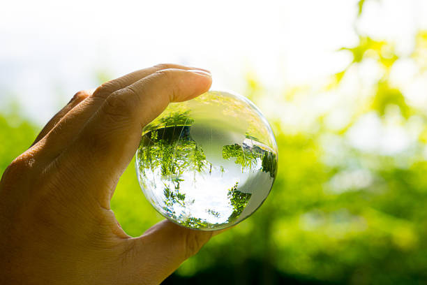 istock Green & Eco environment, glass globe in the garden 487474950