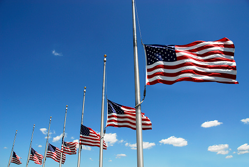 Seven (7) american flags at half mast.