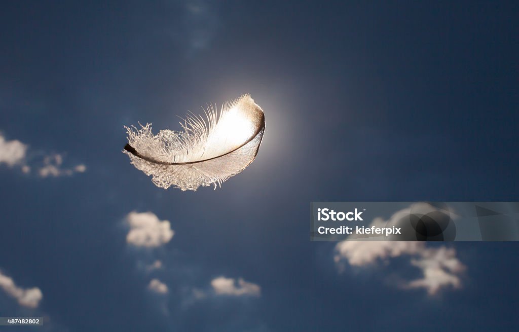 Lone pluma en el cielo - Foto de stock de Pluma de ave libre de derechos